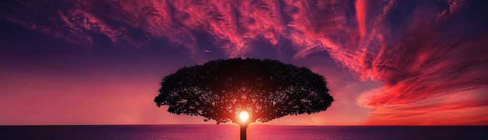 Genealogy – How to start your Family Tree