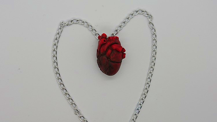 Final step on making an anatomically correct heart out of polymer clay