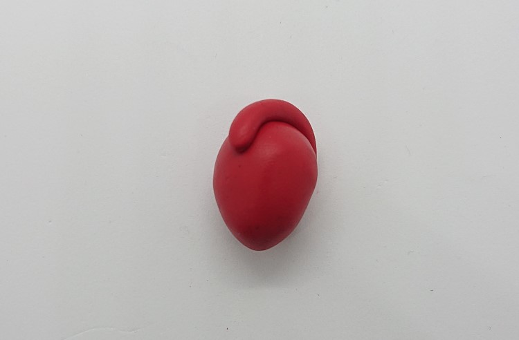 Start of Step 2 to make an anatomically correct heart