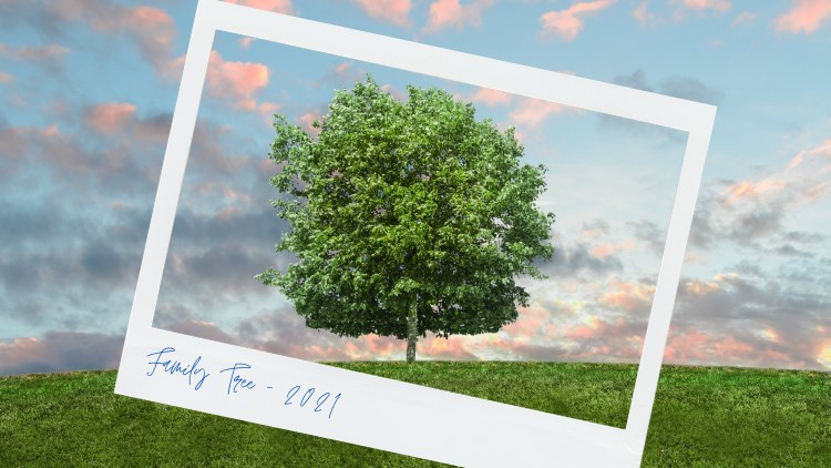Genealogy – Displaying a family tree